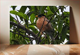 Πίνακας, Bird on a Branch Πουλί σε ένα κλαδί