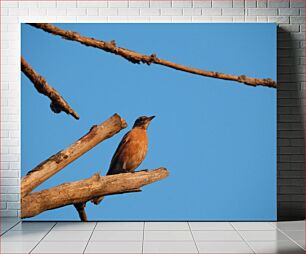 Πίνακας, Bird on a Branch Πουλί σε ένα κλαδί