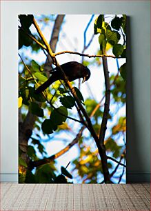 Πίνακας, Bird on a Branch Πουλί σε ένα κλαδί