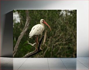 Πίνακας, Bird on a Branch Πουλί σε ένα κλαδί