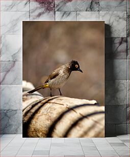 Πίνακας, Bird on a Log Πουλί σε κούτσουρο