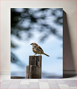 Πίνακας, Bird on a Post Bird on a Post