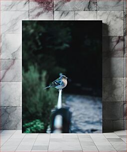 Πίνακας, Bird on a Rail Πουλί σε ράγα