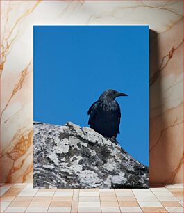 Πίνακας, Bird on a Rock Πουλί σε βράχο