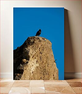 Πίνακας, Bird on a Rock Πουλί σε βράχο