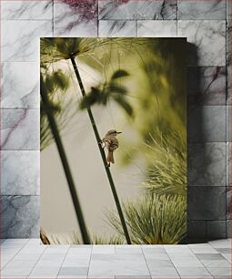 Πίνακας, Bird on a Stalk Πουλί σε κοτσάνι