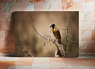 Πίνακας, Bird on a Thorny Branch Πουλί σε ένα αγκάθινο κλαδί