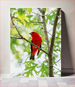 Πίνακας, Bird on a Tree Branch Πουλί σε κλαδί δέντρου