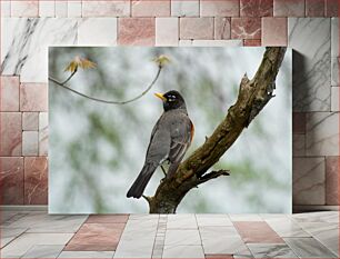Πίνακας, Bird on a Tree Πουλί σε ένα δέντρο