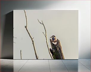 Πίνακας, Bird on a Tree Πουλί σε ένα δέντρο