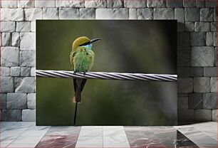 Πίνακας, Bird on a Wire Πουλί σε σύρμα