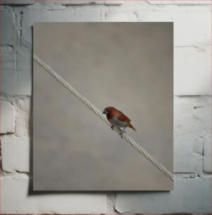 Πίνακας, Bird on a Wire Πουλί σε σύρμα