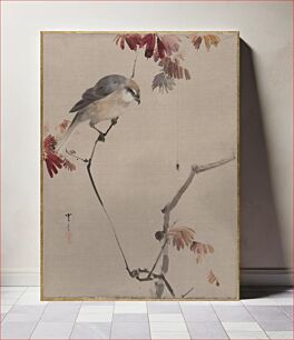Πίνακας, Bird on Branch Watching Spider by Watanabe Seitei