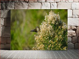 Πίνακας, Bird on Flowering Plant Πουλί σε ανθισμένο φυτό