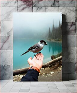 Πίνακας, Bird on Hand by a Misty Lake Bird on Hand by a Misty Lake