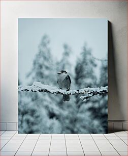 Πίνακας, Bird on Snowy Branch Πουλί στο Snowy Branch
