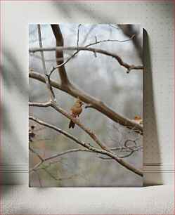 Πίνακας, Bird on Tree Branch Bird on Tree Branch