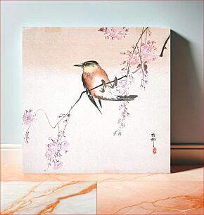 Πίνακας, Bird on Weeping Cherry by Ohara Shōson