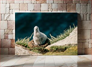Πίνακας, Bird perched by the sea Πουλί σκαρφαλωμένο δίπλα στη θάλασσα