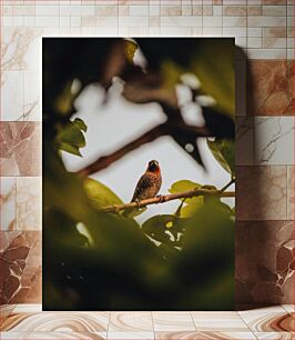 Πίνακας, Bird Perched on a Branch Πουλί σκαρφαλωμένο σε ένα κλαδί