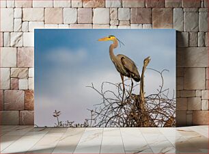 Πίνακας, Bird perched on a branch Πουλί σκαρφαλωμένο σε ένα κλαδί