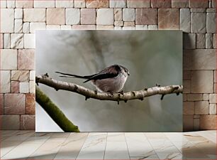 Πίνακας, Bird Perched on a Branch Πουλί σκαρφαλωμένο σε ένα κλαδί