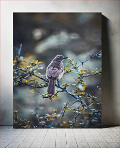 Πίνακας, Bird Perched on a Thorny Branch Πουλί σκαρφαλωμένο σε ένα αγκάθινο κλαδί