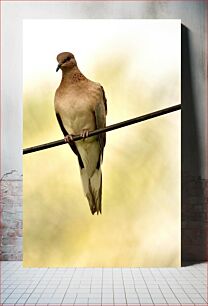 Πίνακας, Bird Perched on a Wire Πουλί σκαρφαλωμένο σε ένα σύρμα