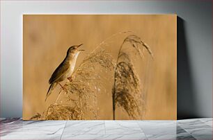 Πίνακας, Bird Perched on Dry Grass Πουλί σκαρφαλωμένο σε ξερό γρασίδι