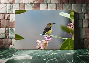 Πίνακας, Bird Perched on Leaf Πουλί σκαρφαλωμένο στο φύλλο