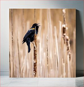 Πίνακας, Bird Perched on Reed Πουλί σκαρφαλωμένο στο καλάμι