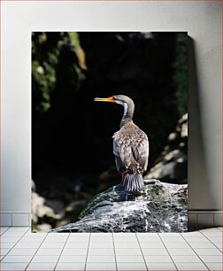 Πίνακας, Bird Perched on Rock Πουλί σκαρφαλωμένο στο βράχο