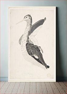 Πίνακας, Bird, Perhaps an Egret, Seen in Profile with One Wing Lifted