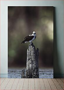 Πίνακας, Bird Resting on a Post Πουλί που στηρίζεται σε ένα στύλο