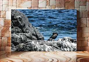 Πίνακας, Bird Resting on Rocks by the Sea Πουλί που στηρίζεται σε βράχους δίπλα στη θάλασσα