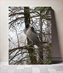 Πίνακας, Bird Resting on Tree Πουλί που στηρίζεται στο δέντρο