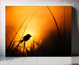 Πίνακας, Bird Silhouette at Sunrise Σιλουέτα πουλιών στην Ανατολή