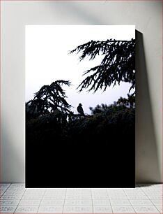 Πίνακας, Bird Silhouette with Trees Σιλουέτα πουλιού με δέντρα