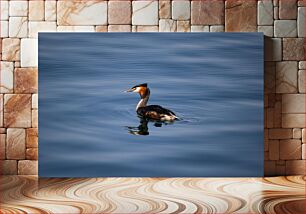 Πίνακας, Bird Swimming in Water Πουλί που κολυμπά στο νερό