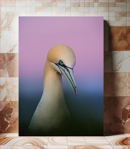 Πίνακας, Bird with Gradient Background Πουλί με φόντο κλίσης