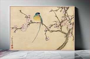 Πίνακας, Bird with Plum Blossoms (18th Century) by Zhang Ruoai