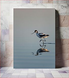 Πίνακας, Bird with Reflection on Water Πουλί με προβληματισμό στο νερό