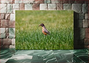Πίνακας, Bird with Worm in Grass Πουλί με σκουλήκι στο γρασίδι
