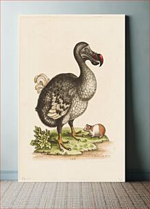 Πίνακας, birds and animals; plate 294