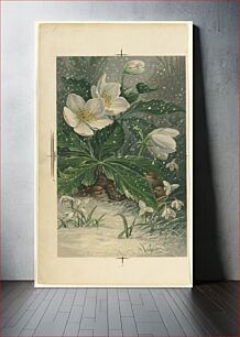 Πίνακας, Birds beneath white flowers in winter