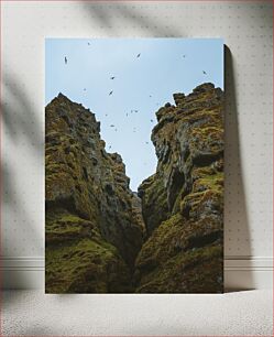 Πίνακας, Birds Flying Over a Rocky Canyon Πουλιά που πετούν πάνω από ένα βραχώδες φαράγγι