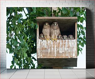 Πίνακας, Birds in a Nesting Box Πουλιά σε Κουτί Φωλιάσματος