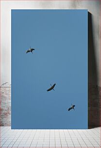 Πίνακας, Birds in Flight Πουλιά σε πτήση