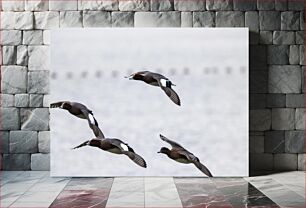 Πίνακας, Birds in Flight over Water Πουλιά σε πτήση πάνω από το νερό