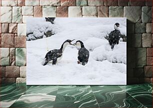 Πίνακας, Birds in Snow Πουλιά στο χιόνι